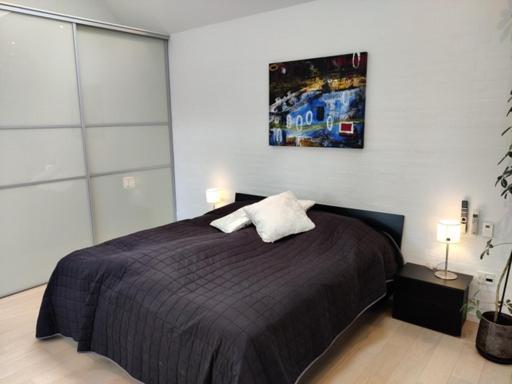 Vaerelser I Midtbyen - 117 M2 Apartment هيرنينغ المظهر الخارجي الصورة